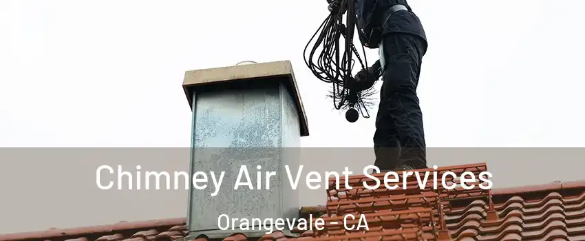  Chimney Air Vent Services Orangevale - CA