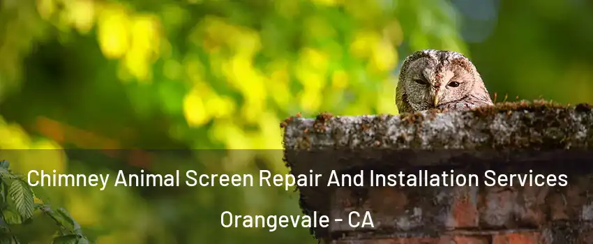  Chimney Animal Screen Repair And Installation Services Orangevale - CA