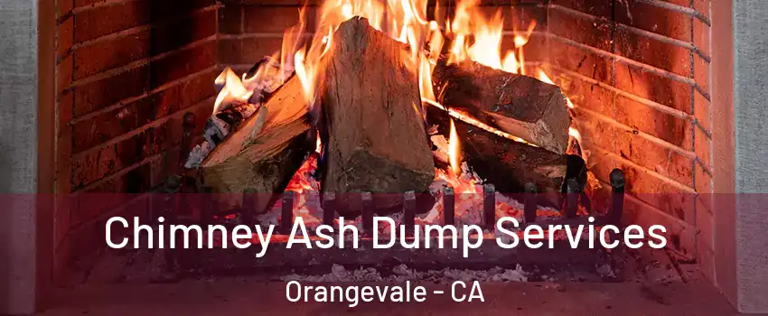  Chimney Ash Dump Services Orangevale - CA