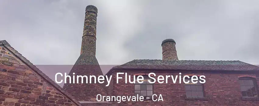  Chimney Flue Services Orangevale - CA