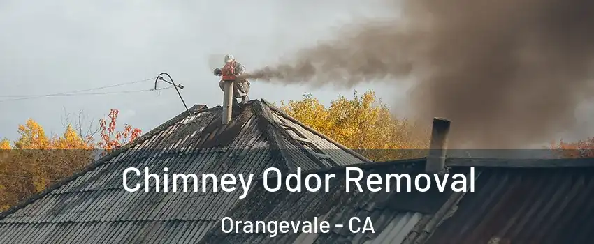  Chimney Odor Removal Orangevale - CA