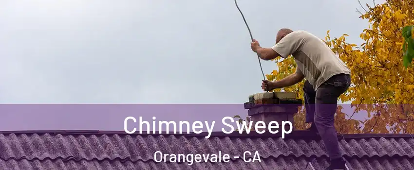  Chimney Sweep Orangevale - CA