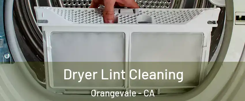  Dryer Lint Cleaning Orangevale - CA