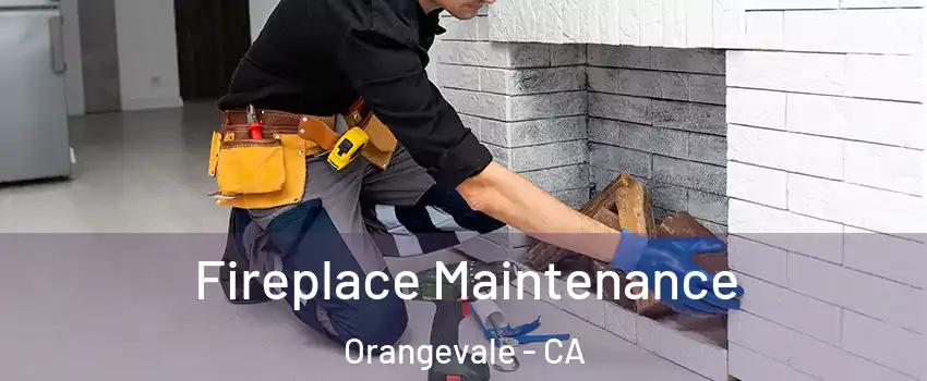  Fireplace Maintenance Orangevale - CA