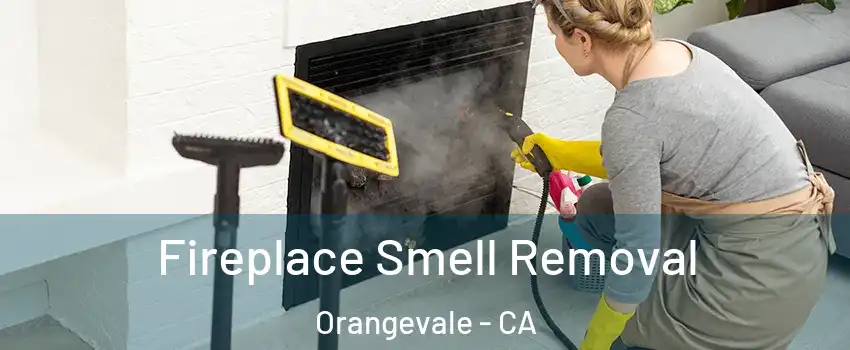  Fireplace Smell Removal Orangevale - CA
