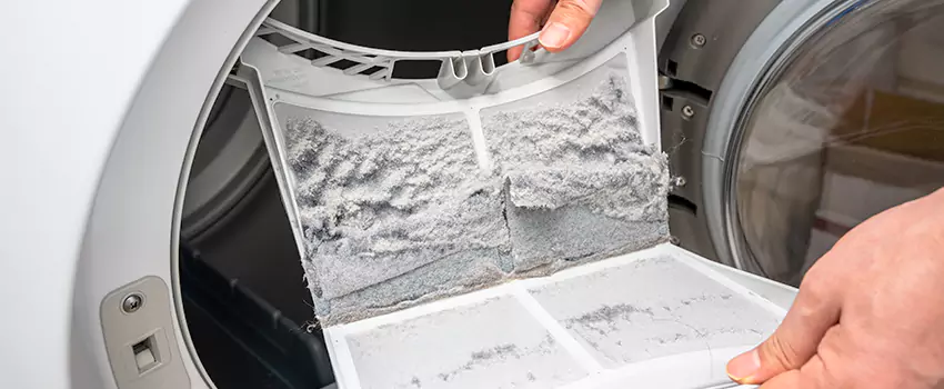 Best Dryer Lint Removal Company in Orangevale, California