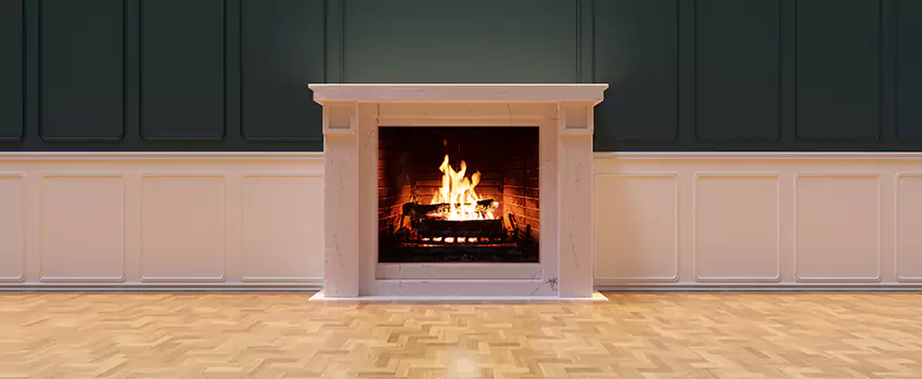 Napoleon Electric Fireplaces Inspection Service in Orangevale, California
