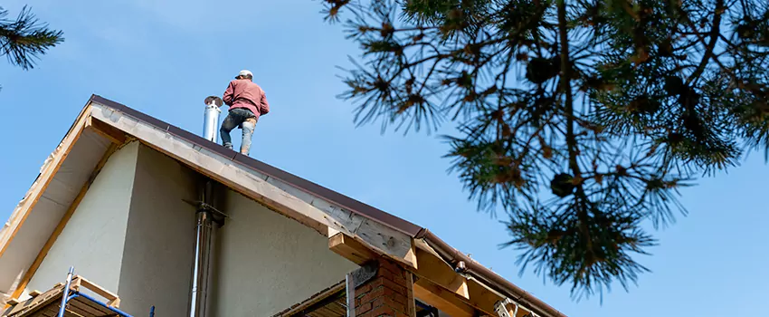 Birds Removal Contractors from Chimney in Orangevale, CA