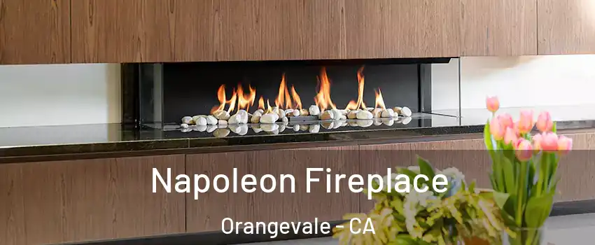  Napoleon Fireplace Orangevale - CA