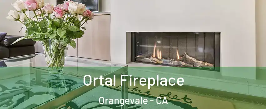  Ortal Fireplace Orangevale - CA