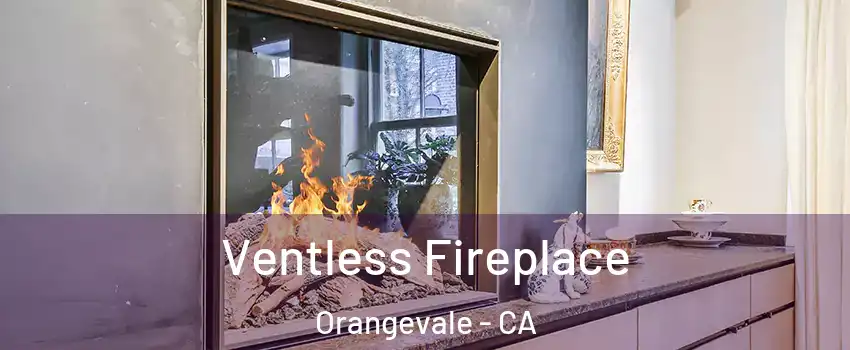  Ventless Fireplace Orangevale - CA
